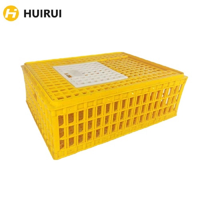 plastic chicken transport crate